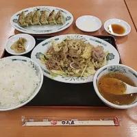 Snapdishの料理写真:肉野菜炒め定食 & バジル餃子|ラィトさん