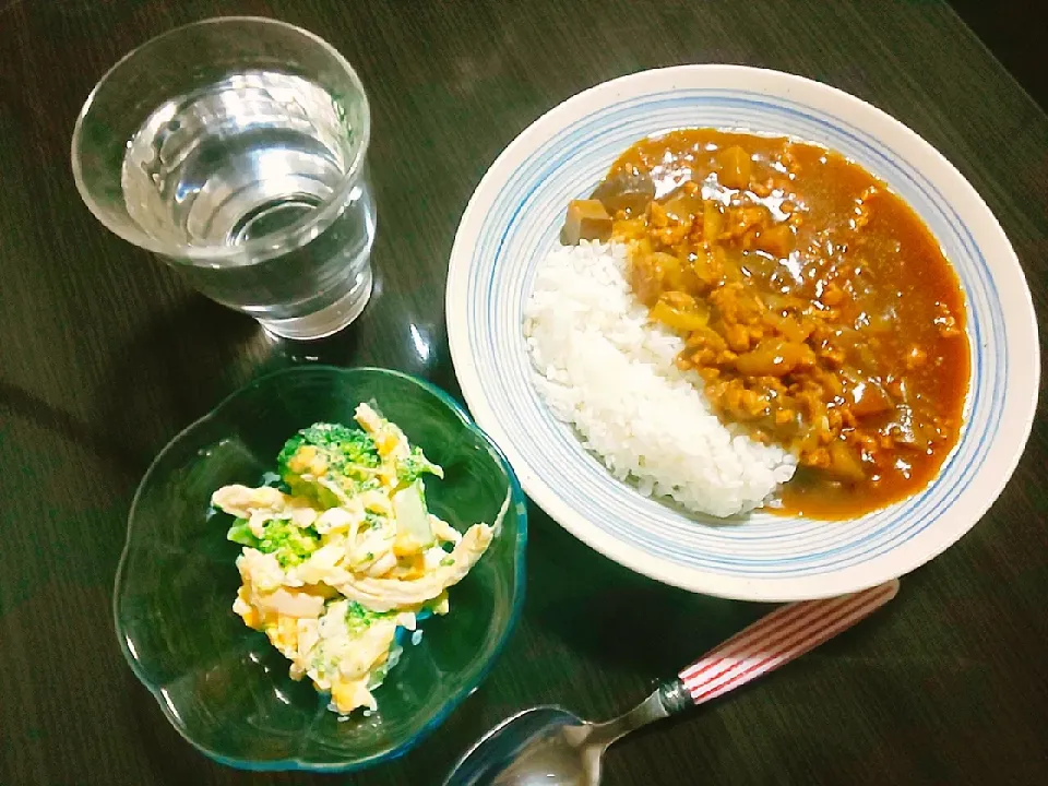 ナスとひき肉のカレー、ブロッコリーとゆで鶏のサラダ|サトリさん