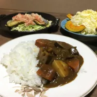 Snapdishの料理写真:一生懸命作ったカレーとエスカベッシュ|Namiko Kanoyaさん