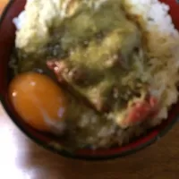 Snapdishの料理写真:手作り丼料理。|大迫里奈さん