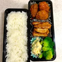 Snapdishの料理写真:煮込みハンバーグ弁当|ひとりんさん