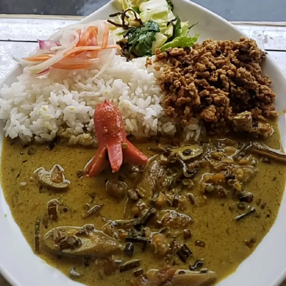 ゴボウのミックスダルーカレーとチキンキーマのあいがけカレーwithタコさんウインナー🐙
白菜と水菜と塩昆布のテズ和えとピクルス付き|ふじわらたくやさん