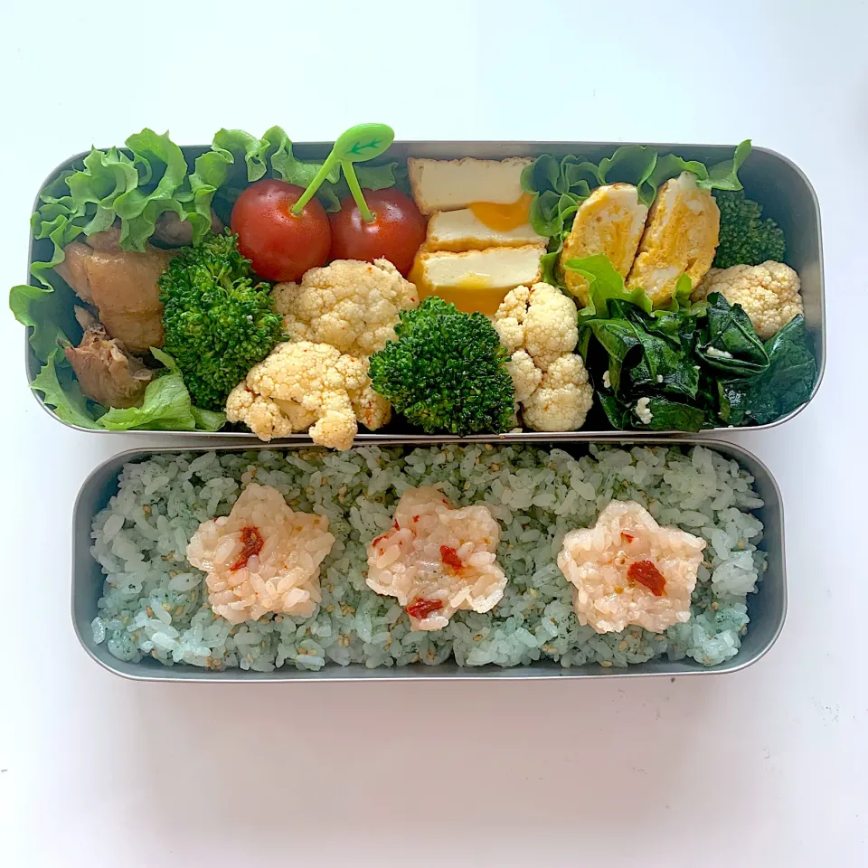 Snapdishの料理写真:息子のお弁当|りんりんさん