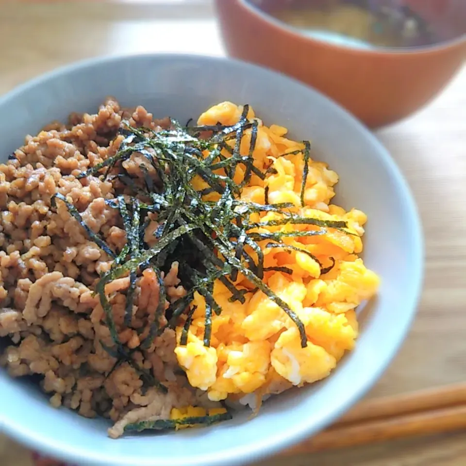 昼ごはん🌻２色丼|Rie*さん