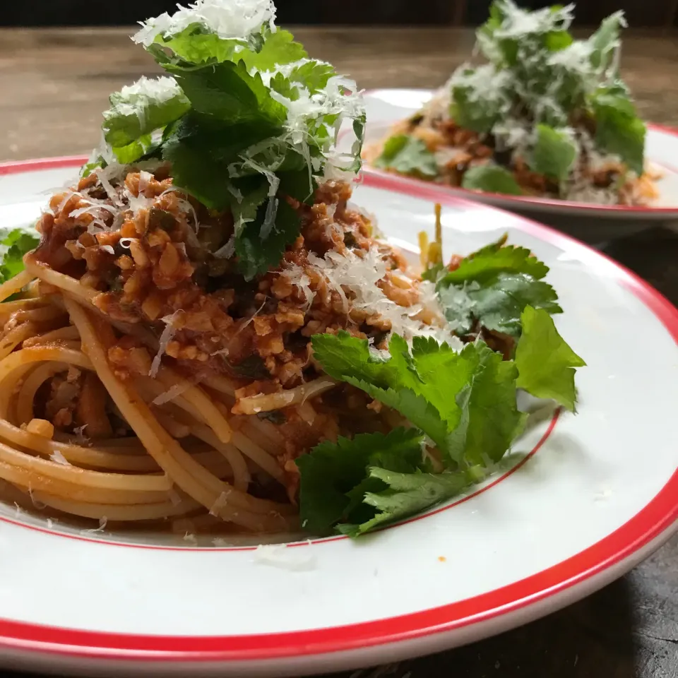 Kentaro Kayamaさんの料理 今日のまかない「鶏とゴボウのラグー」|koji toyodaさん