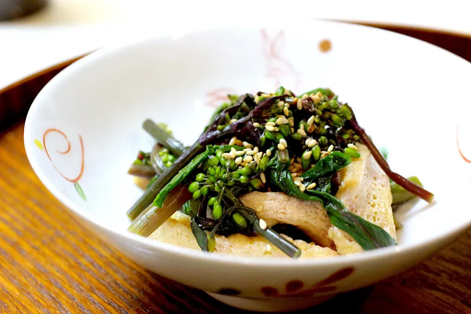 紅菜苔と油揚げの酢の物|sono.kさん