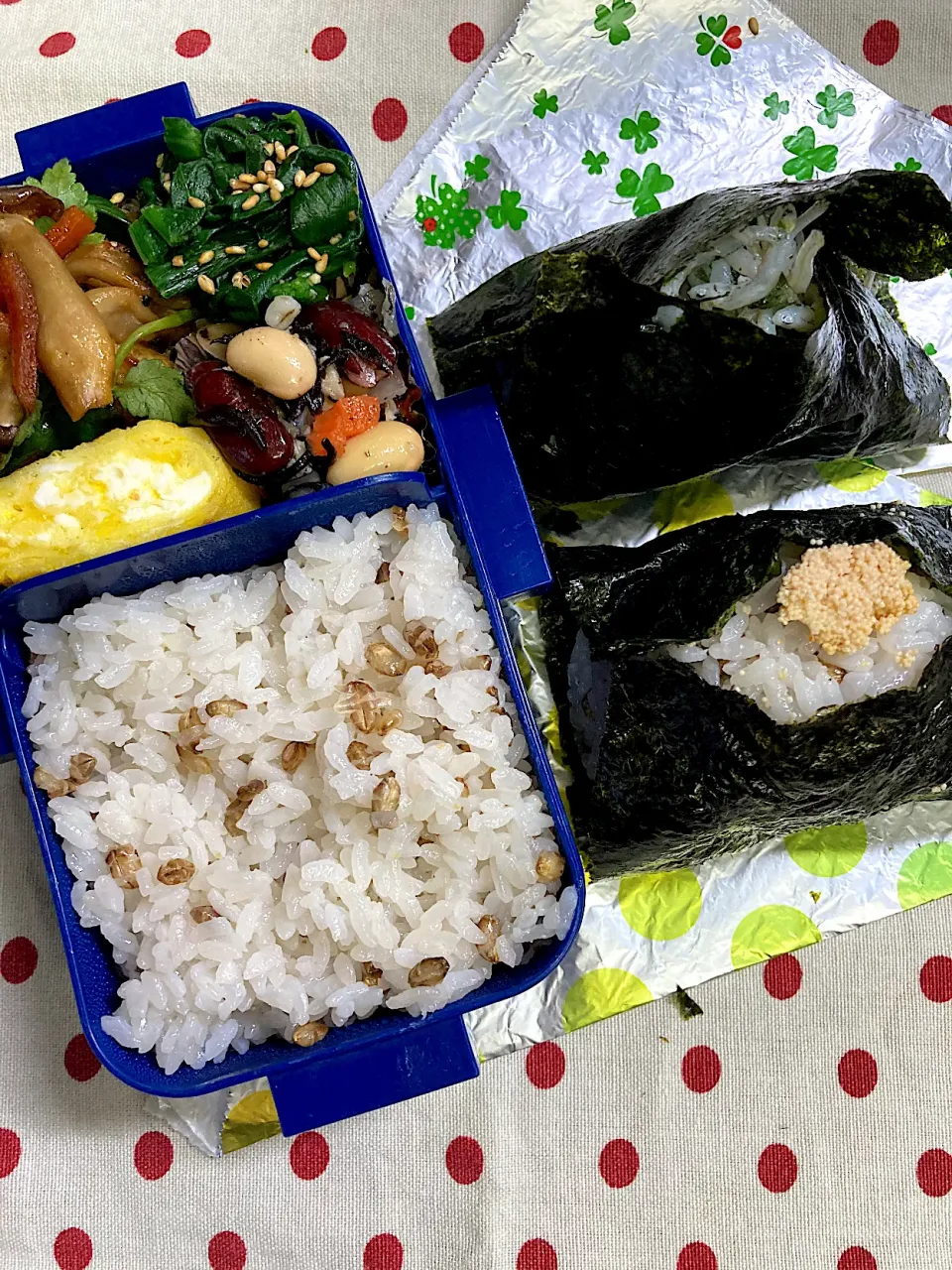 Snapdishの料理写真:3月9日　今日も晴天弁当🍱🍙|sakuramochiさん