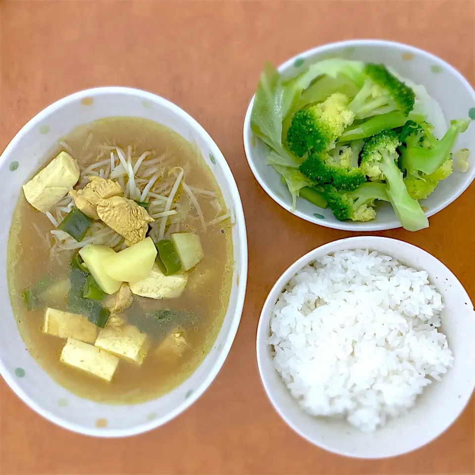 Soto ayam (chicken yellow soup) with additional vegetables (cabbage and broccoli) + a cup of rice. Lets have dinner|MI 「いどりす」さん