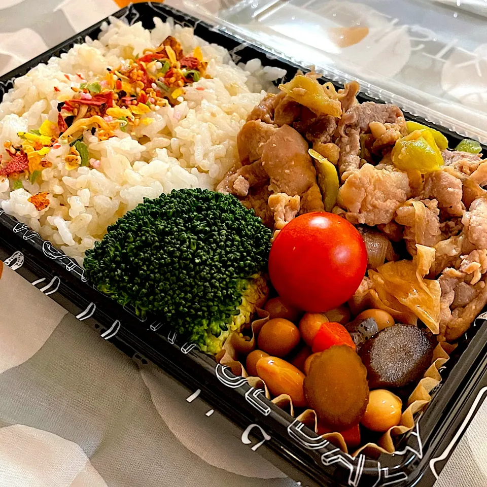 Snapdishの料理写真:お弁当|askさん