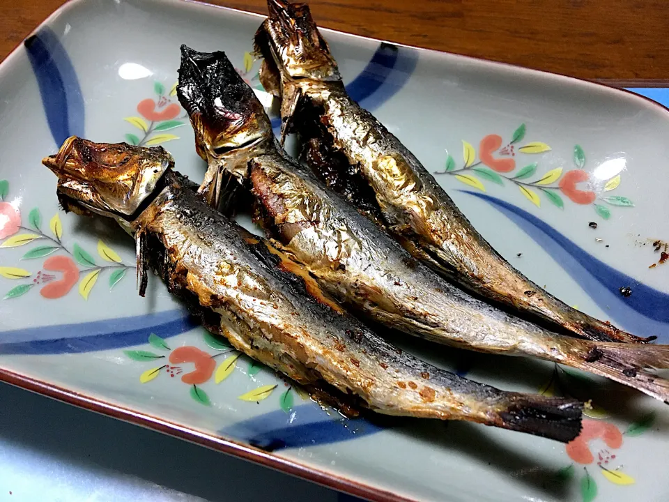 ししゃも|はっちぃさん