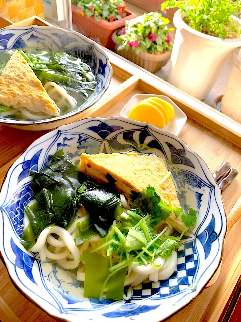 ナガマンさんの料理 朝うどん|シュトママさん