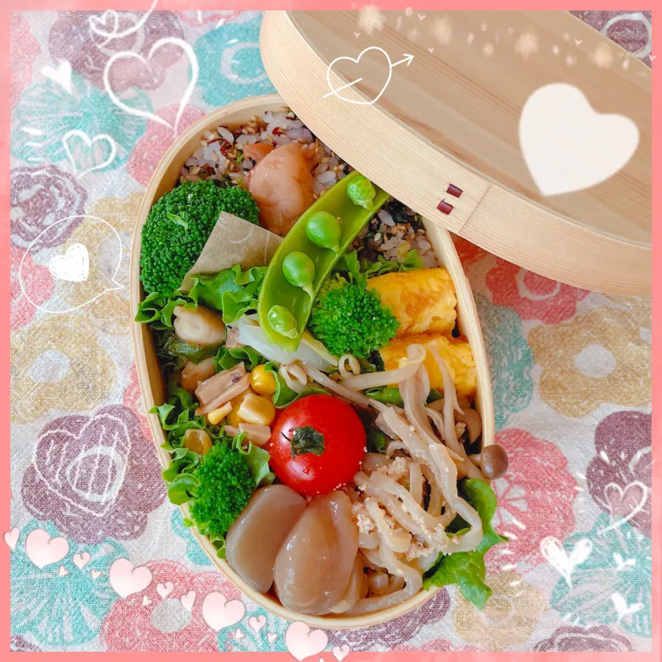 ３／１１ ｔｈｒ ささみとピーマンの塩炒め弁当🍴＊○°|rinaronarさん