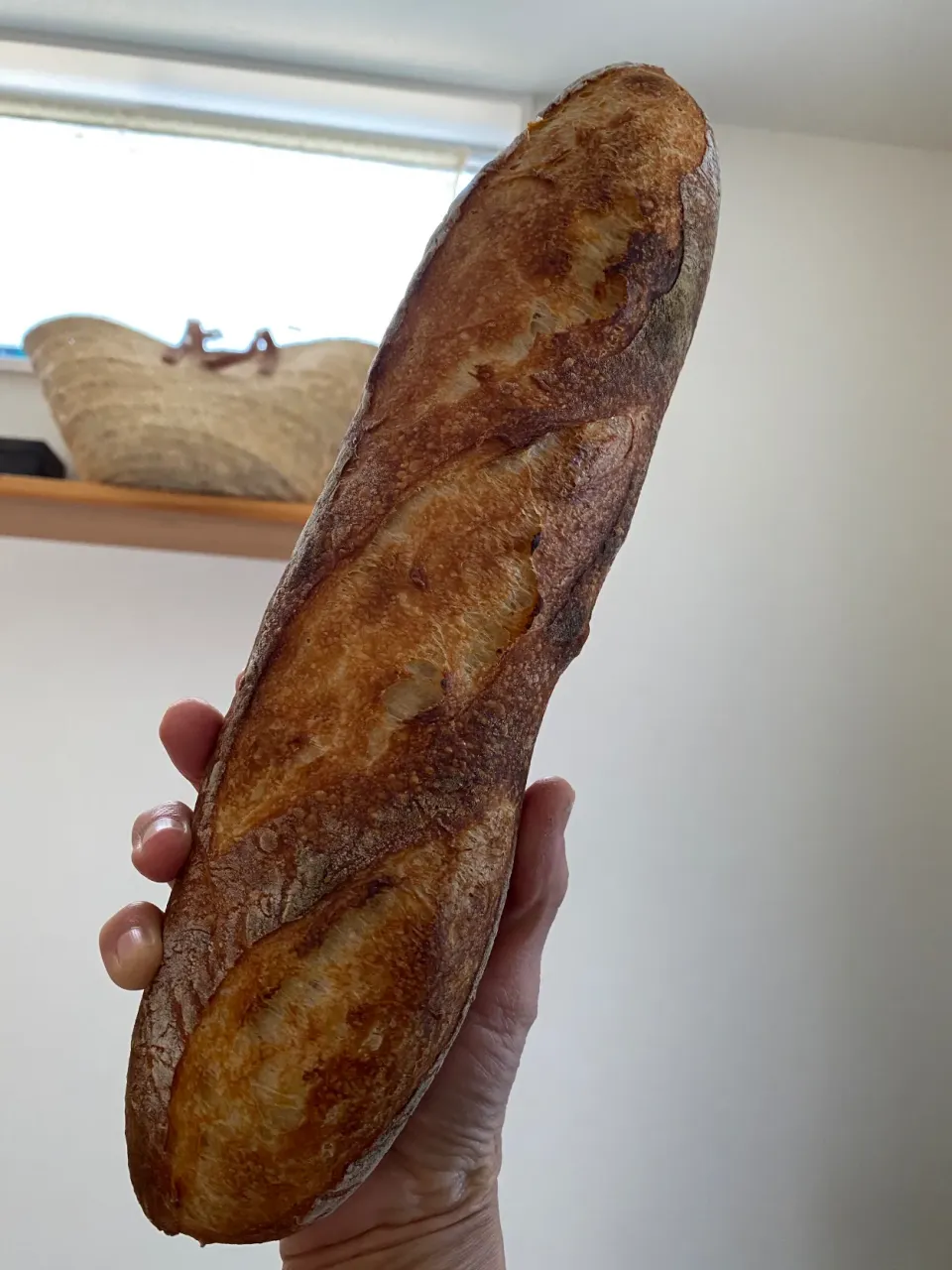 Snapdishの料理写真:バゲット修行🥖|marksweetsさん