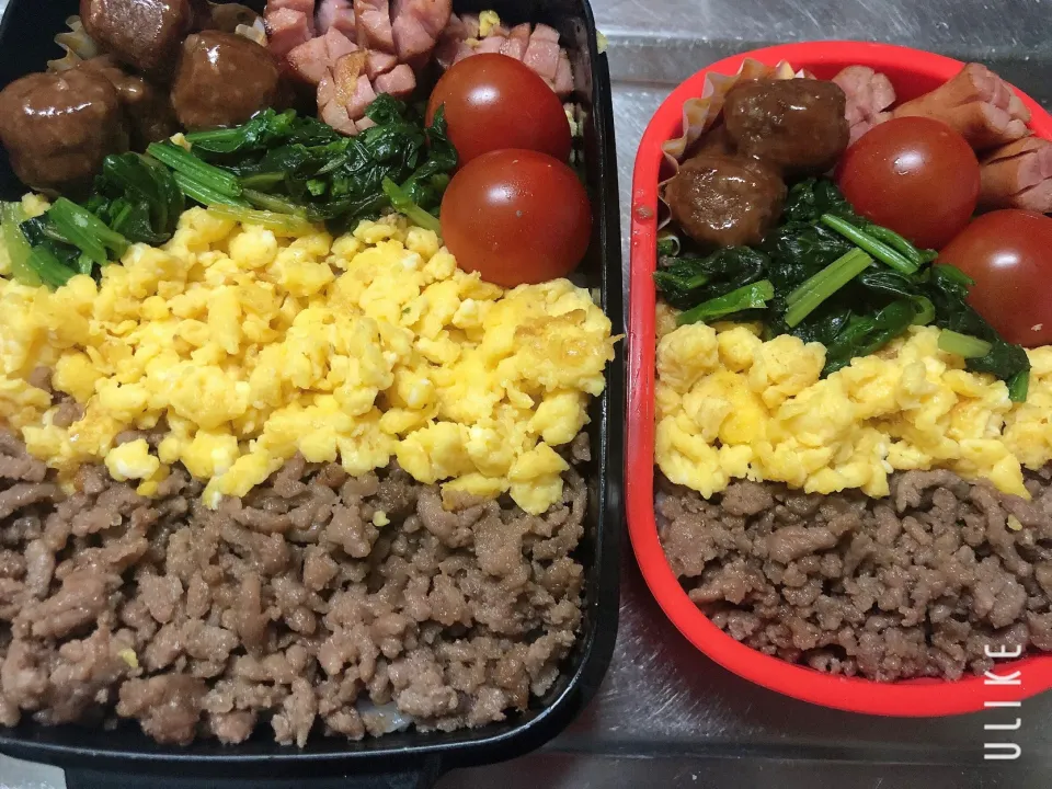 Snapdishの料理写真:そぼろ弁当|muniさん