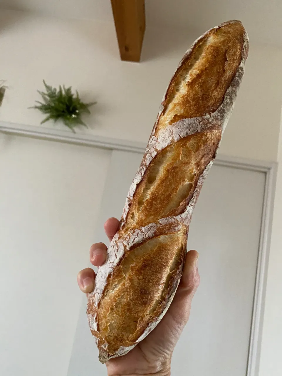 バゲット修行🥖|marksweetsさん