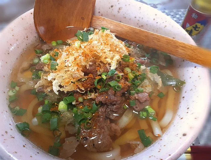 Snapdishの料理写真:肉うどん🍜|びせんさん