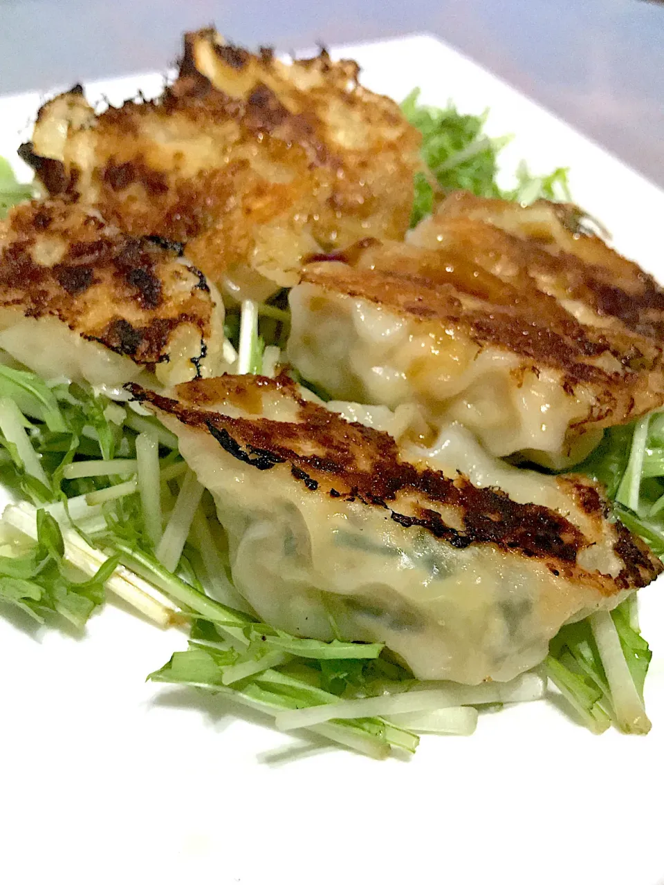 鶏ひき肉と豆腐でヘルシー餃子(^ω^)隠し味は赤味噌で|舞さん