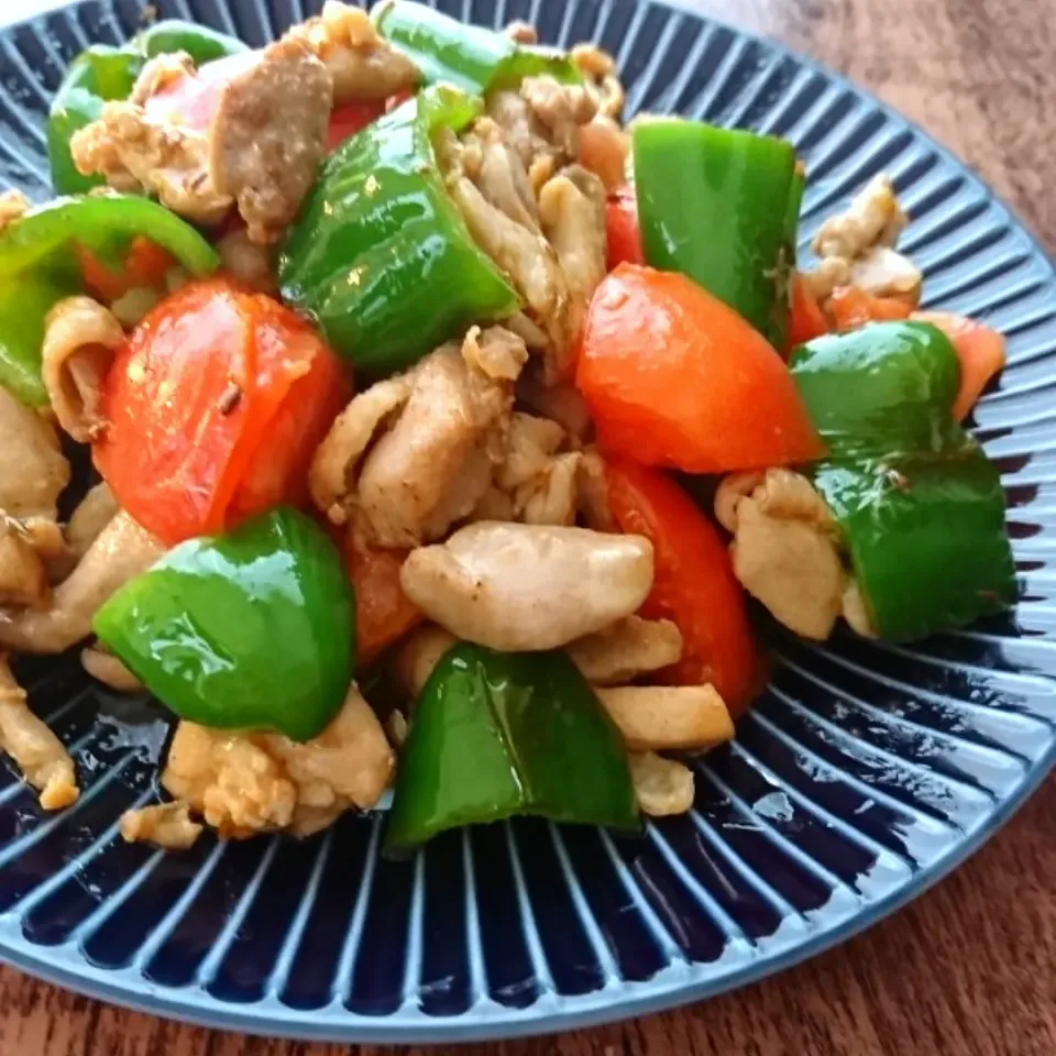 クミンの香りでいただく鶏肉と彩り野菜炒め|とだともさん