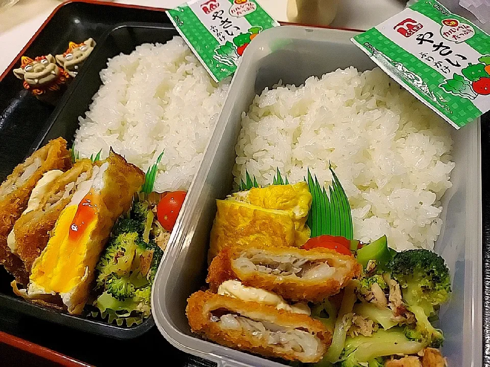 夫弁当、息子弁当|みどりさん