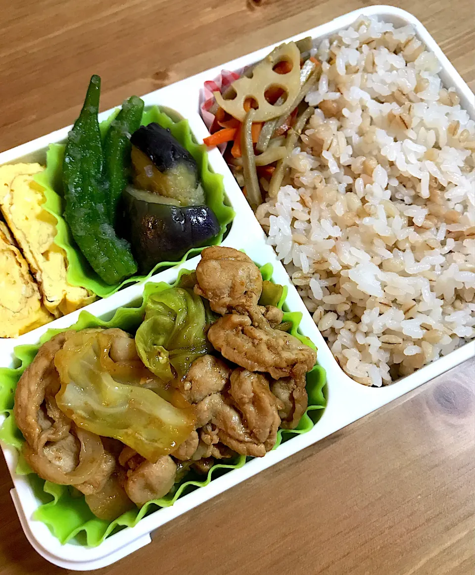 Snapdishの料理写真:20210315お弁当|runさん