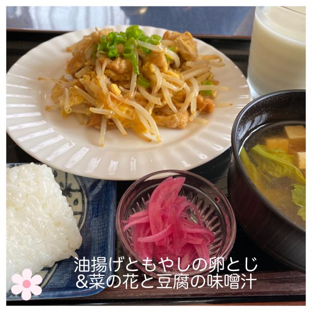 油揚げともやしの卵とじ 菜の花と豆腐の味噌汁 いのっち Snapdish スナップディッシュ Id Qnf4fa