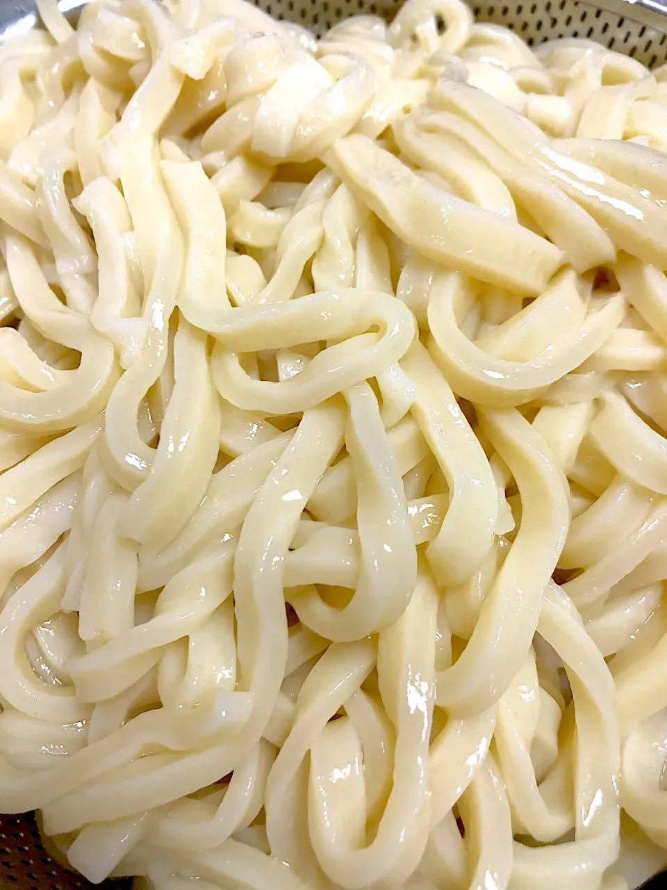 手打ちうどん|ふみぃさん