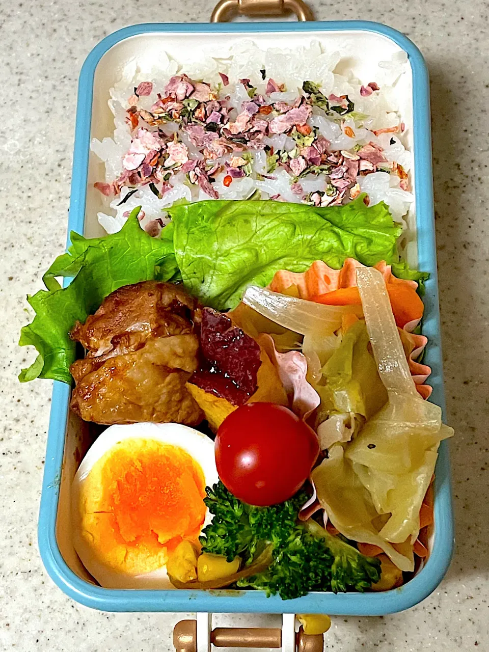 鶏肉のケチャップ煮弁当|besさん