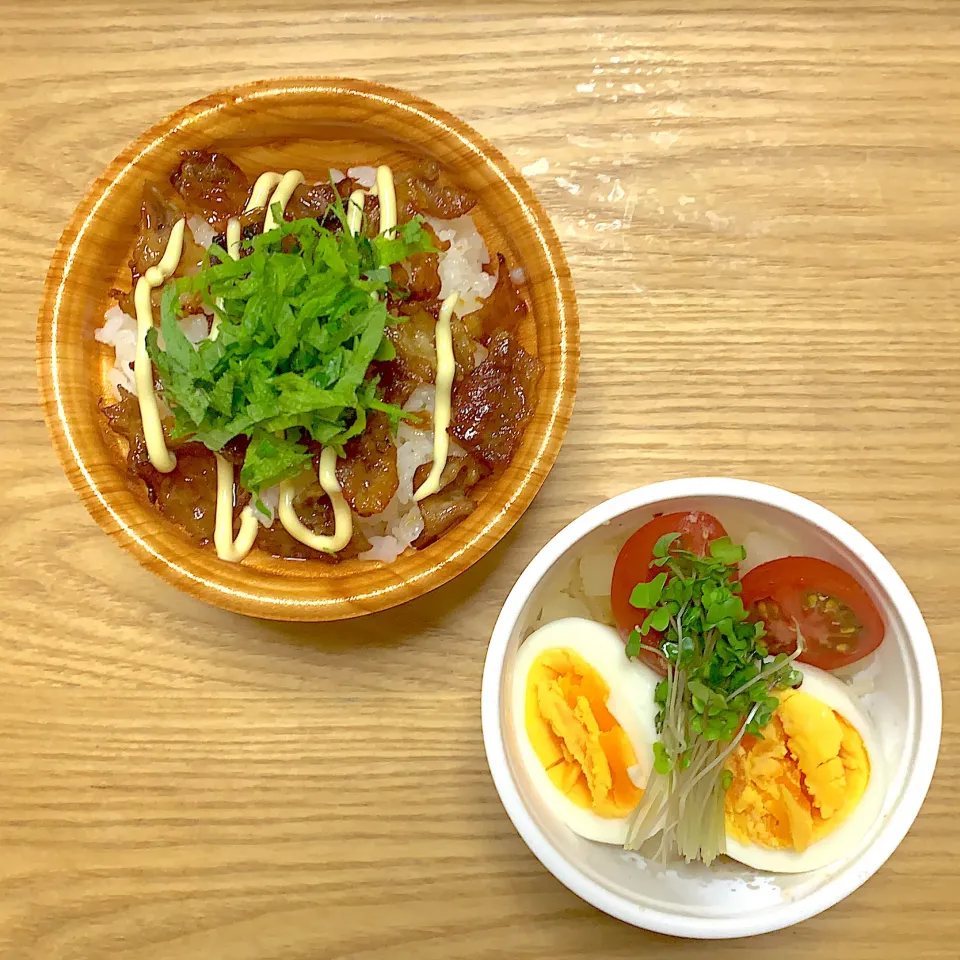 さて、明日のお昼に私が頂くのは🍽|ohodeliさん