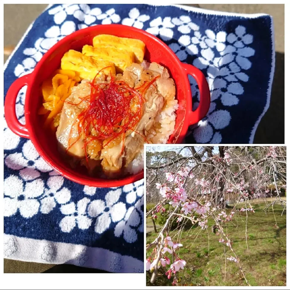 Snapdishの料理写真:★公園ランチ　3日目✌️★
❇️照り焼きチキンどーん|☆Chieco☆さん