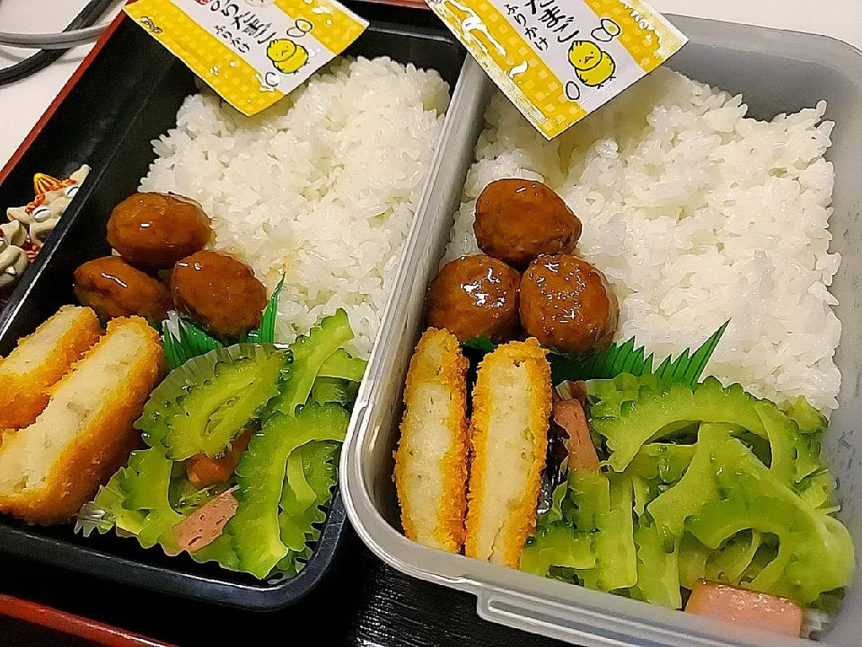 夫弁当、息子弁当|みどりさん