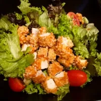 chicken🐔 Breast Salad w AsianDressing|Dafne Williamさん