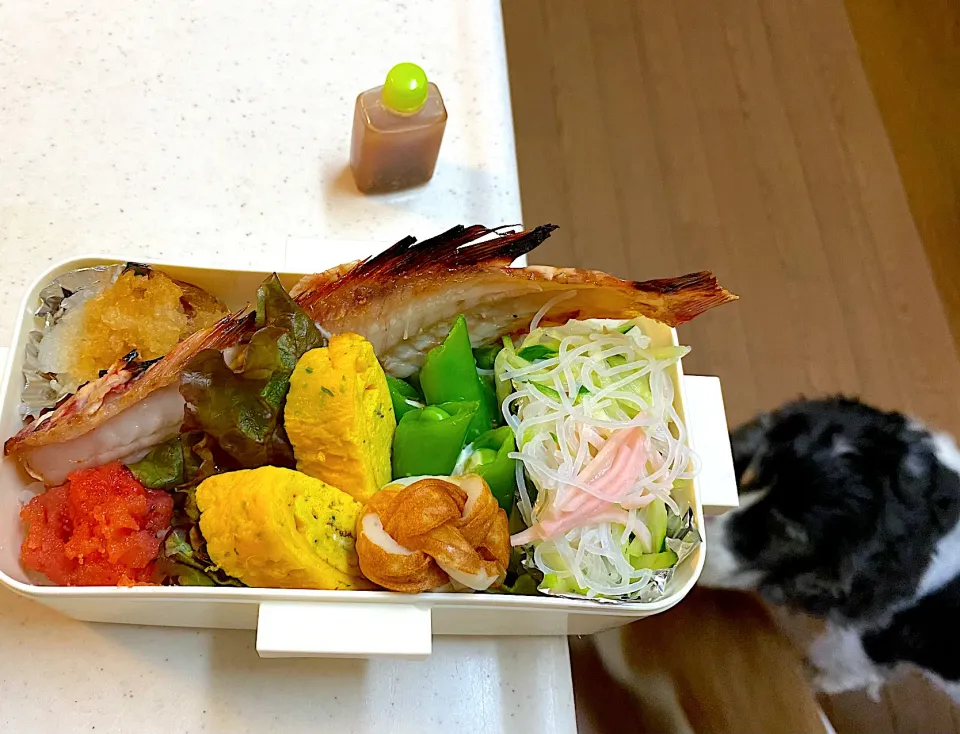 猫に取られそうになったおさかな弁当|cafe3733さん