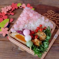 桜咲く弁当