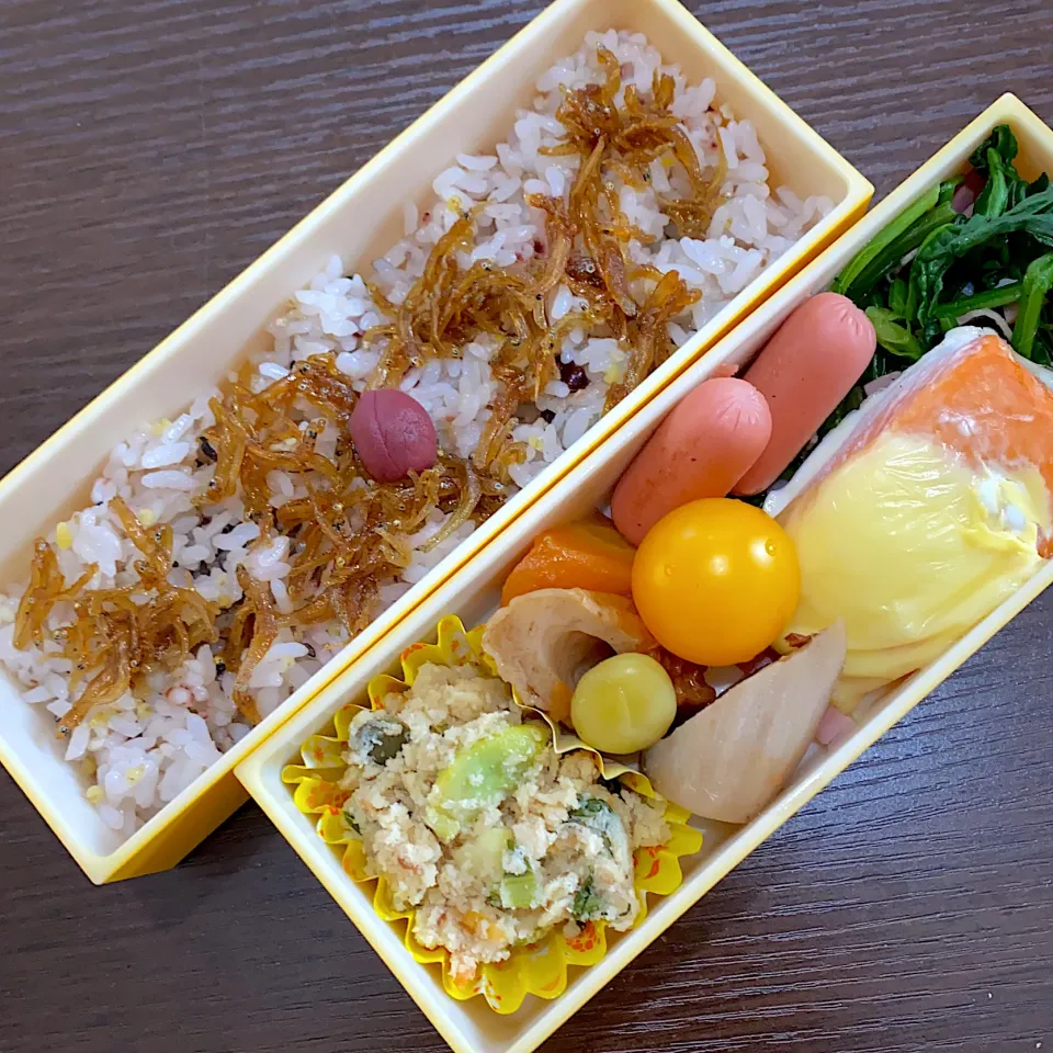 お弁当|minaさん