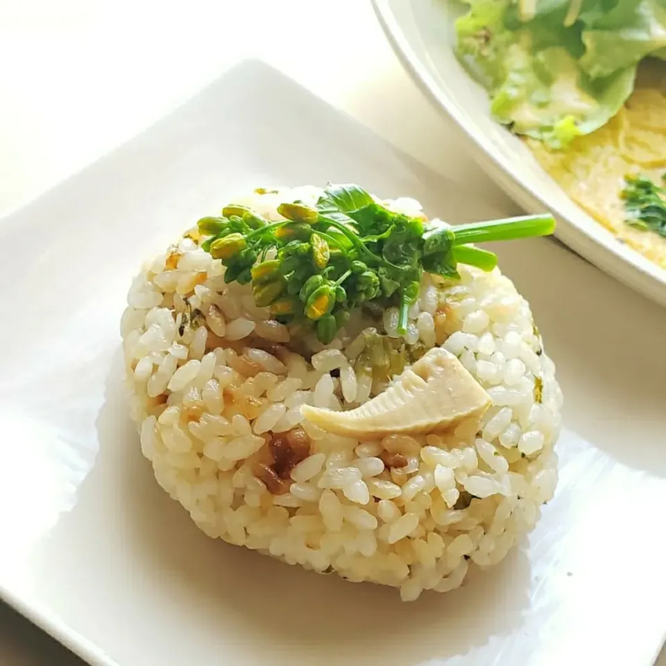 Snapdishの料理写真:菜の花と穂先筍の炊き込みおにぎり|mi_neneco♪さん