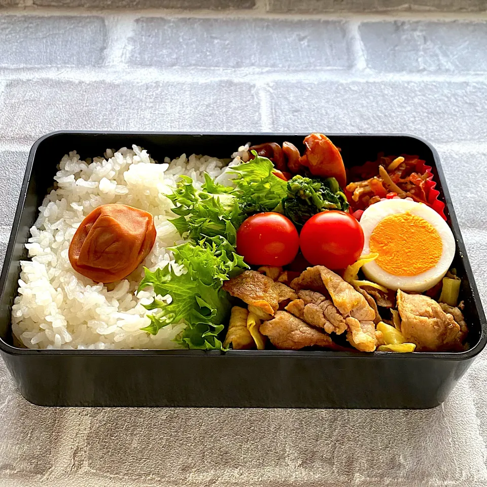 Snapdishの料理写真:3月20日弁当|ホワイトさん