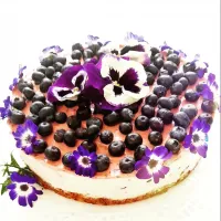 Cheesecake with blueberries|Cocobakesさん