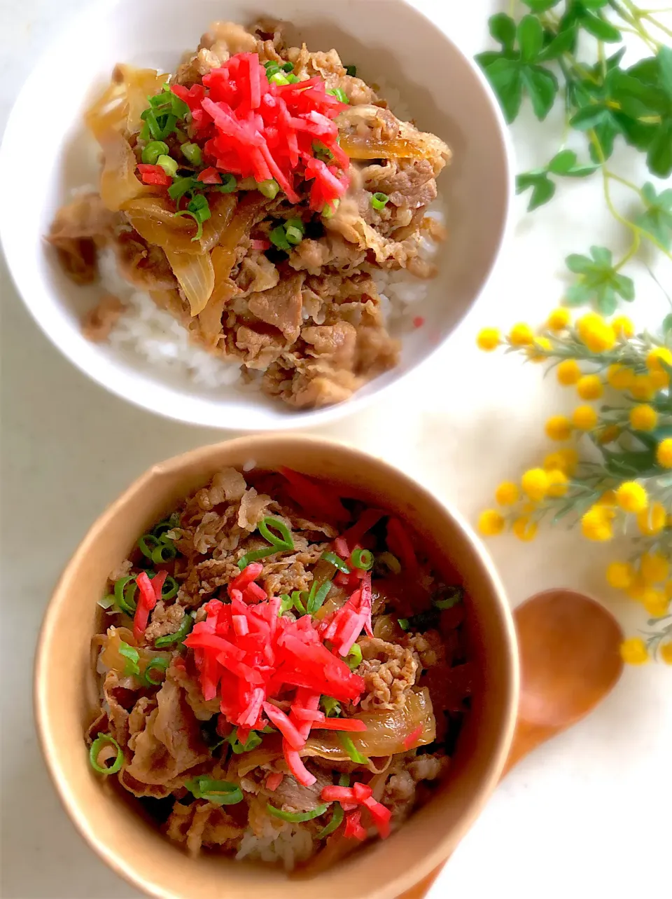 牛丼弁当と置き弁🍥|みゆきさん