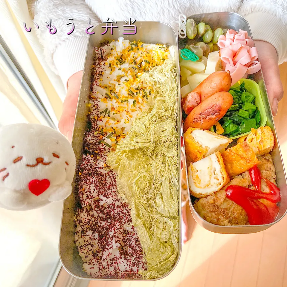 いもうとが作る
お兄ちゃんの部活弁当🍱|hari-co ＊ はりこさん