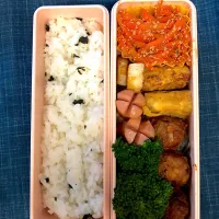 Snapdishの料理写真:中1娘弁当|ecoさん