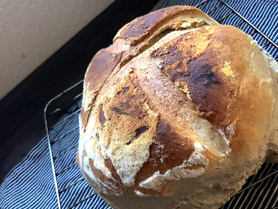 ライブレット🍞🍞🍞|ゴンさん