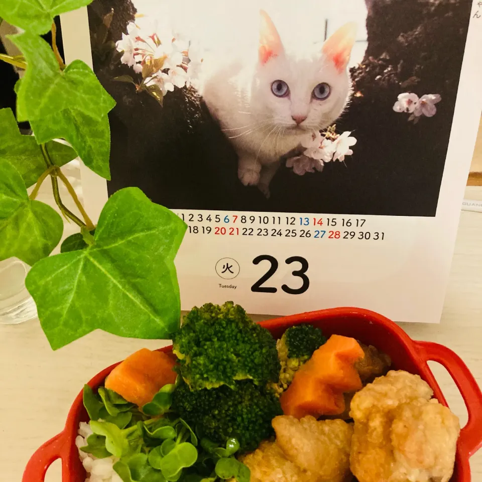 20210323🍱今日の自分弁当🍱|akiyo22さん