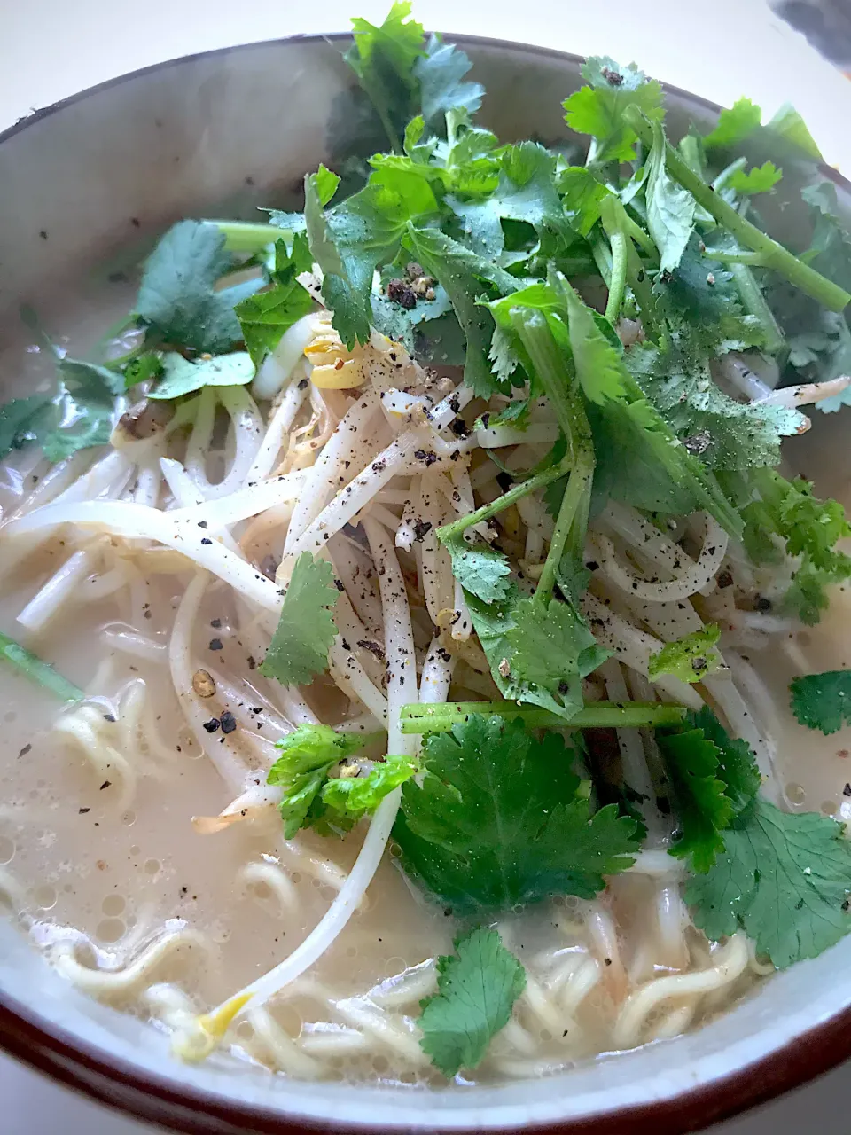 もやしのニンニク炒め五香粉風味とパクチートッピング　マルちゃん正麺豚骨味　黒胡椒たっぷり|カピバラおやじさん