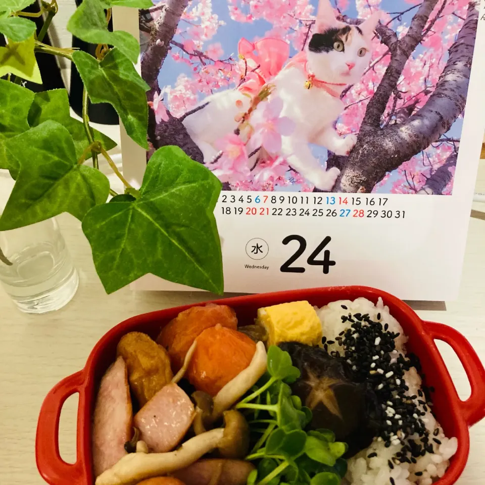 Snapdishの料理写真:20210324🍱今日の自分弁当🍱|akiyo22さん