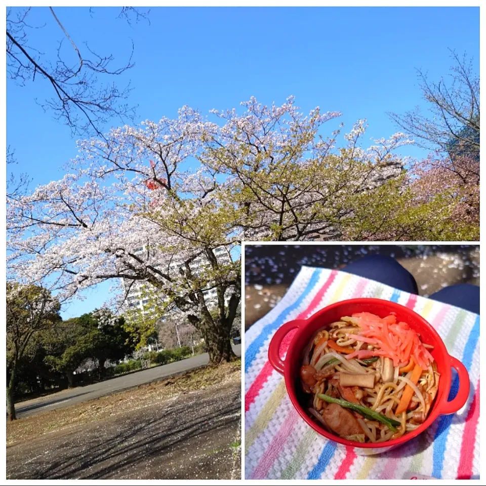 ★公園ランチ★
❇️焼きそば|☆Chieco☆さん