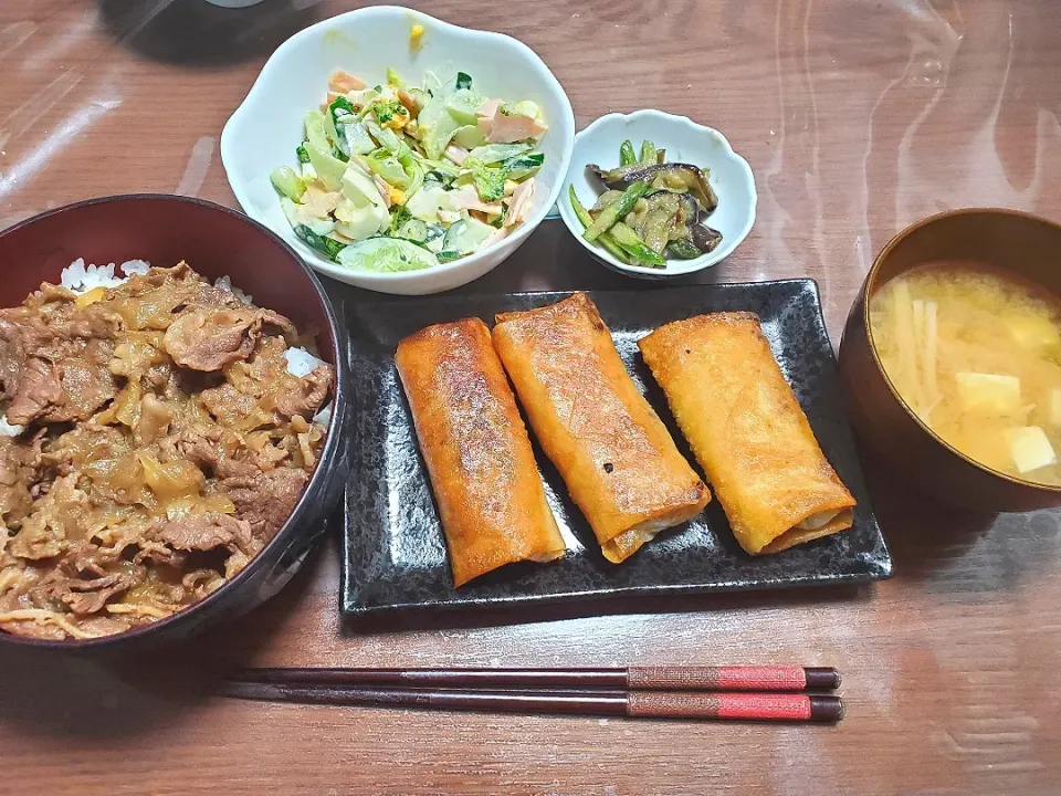 Snapdishの料理写真:牛丼、春巻き、サラダ、アスパラと茄子の味噌炒め|みーさん