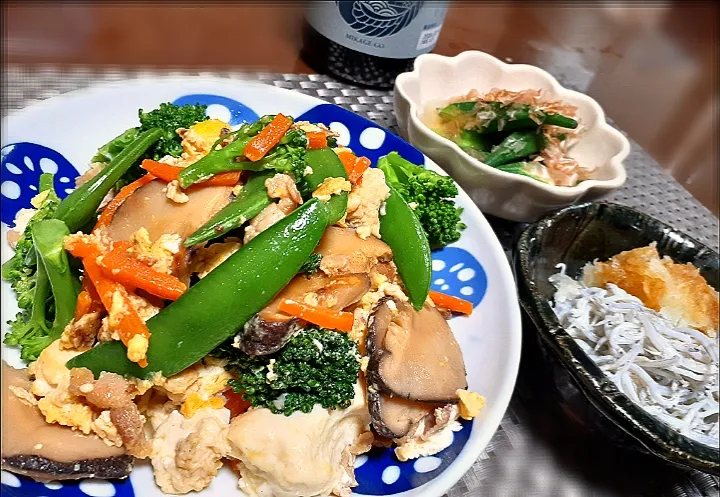 春野菜の炒り豆腐🥦|びせんさん