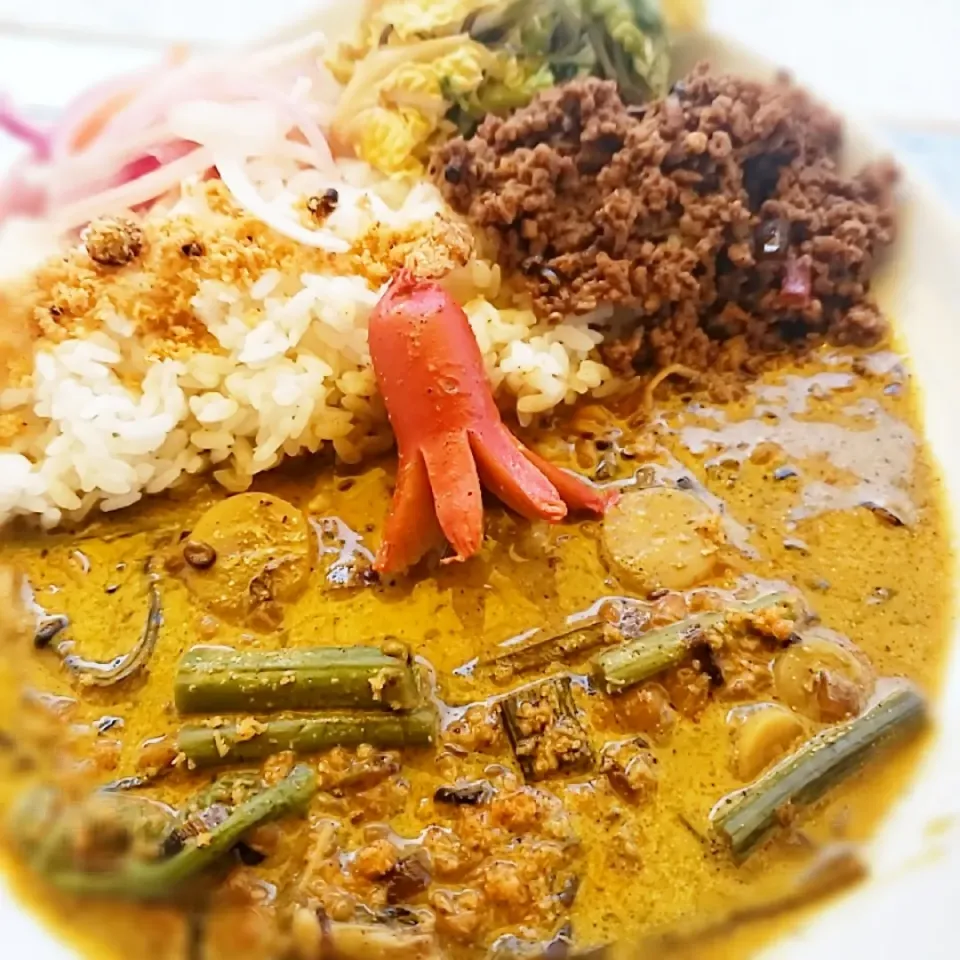 春山菜のミックスダルーカレーと牛豚キーマのあいがけカレーwithタコさんウインナー🐙|ふじわらたくやさん