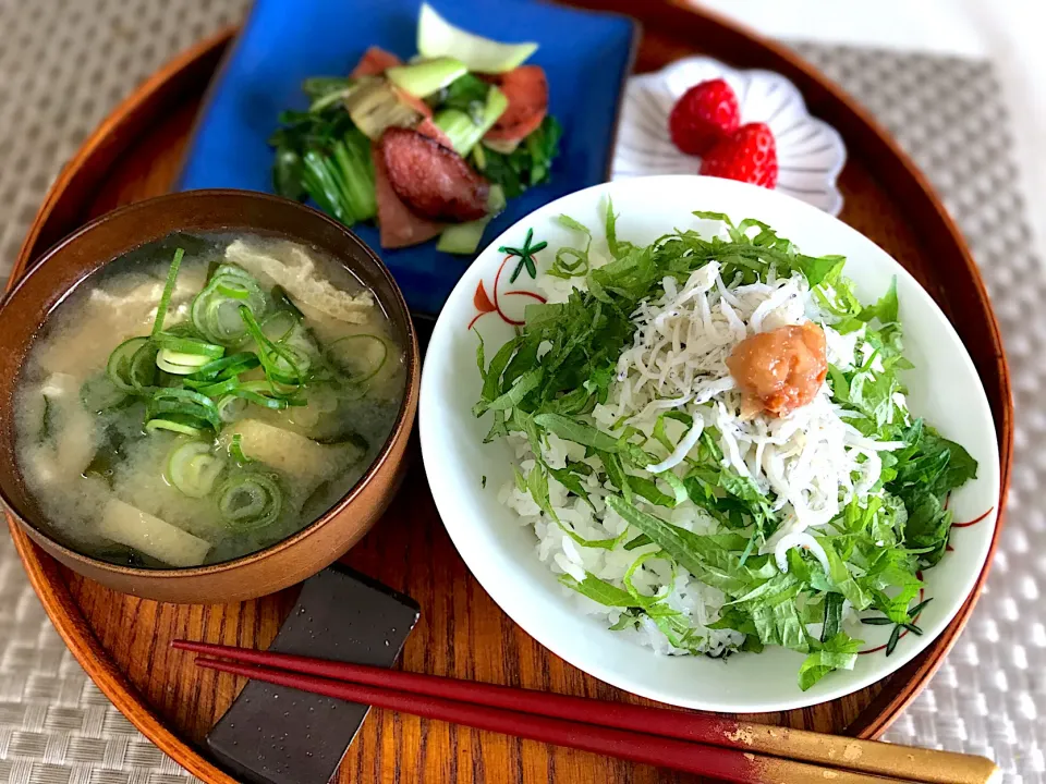 Snapdishの料理写真:しらす丼|shi-shiさん