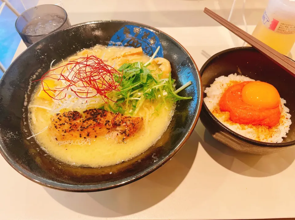 鶏白湯塩ラーメン🍜と明太子ご飯🍚|コージ💫さん